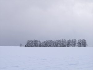 冬の北海道の道は滑るの 滑らないの 北海道を安全にドライブしよう